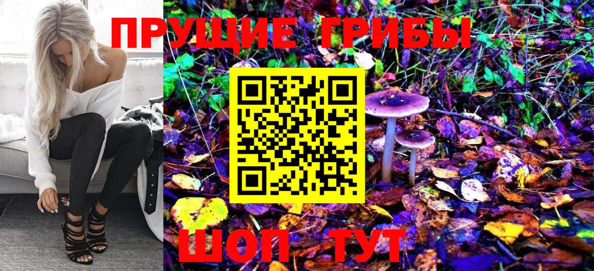 Липецк  Псилоцибиновые грибы Cubensis  Вход с VPN 